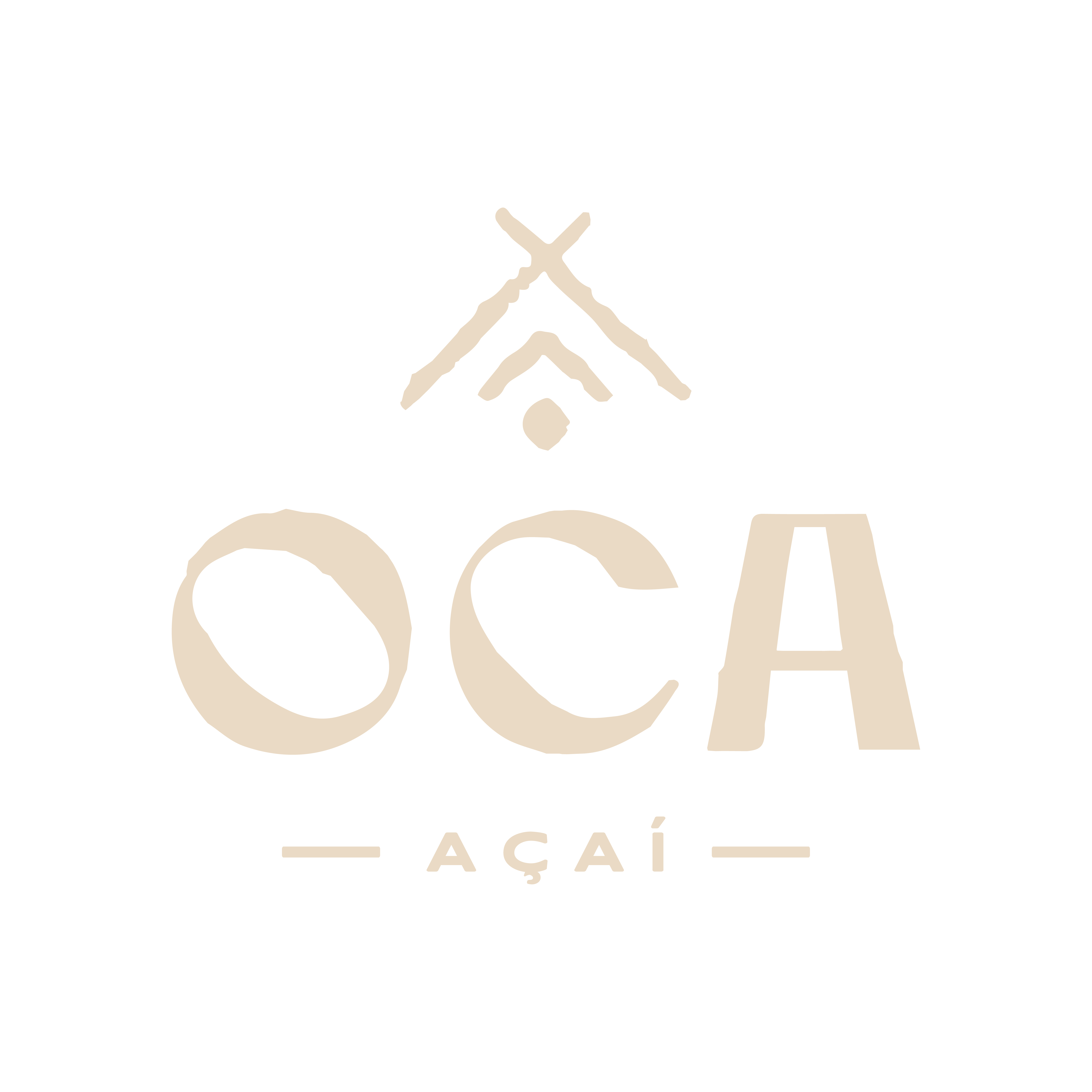 Oca Acaí